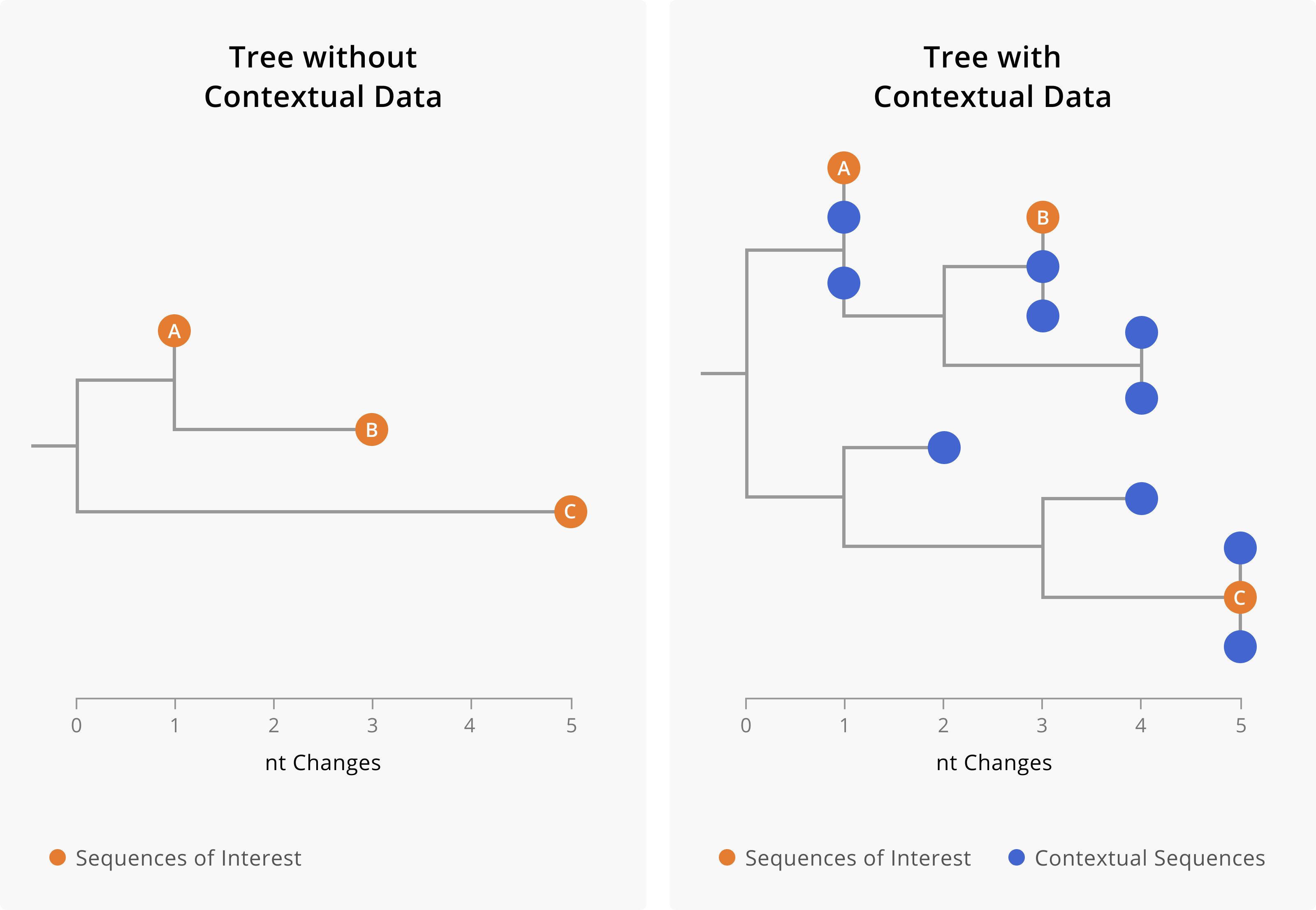 A toy example showing the importance of including contextual data when assessing linkage between cases. On the left-hand side is a phylogenetic tree including only three samples of interest. On the right-hand side, we show a phylogenetic tree of the same three samples of interest (orange tips) along with closely-related contextual data (blue tips). The addition of contextual data clarifies the relationships between the samples of interest. In the tree on the left, we might assume that A and B are related cases, since they both share a mutation and are only two nucleotides diverged from each other. However, the addition of contextual data (blue) provides a more nuanced picture. We see that samples of interest A and B are in fact more closely related to contextual sequences than they are to each other. This could mean that A and B are not directly epidemiologically-linked, or it might mean that A and B are both part of a larger transmission chain captured by the contextual sequences. Furthermore, contextual data can make it more clear when samples are diverged. While we can see substantial genetic divergence between sample C and samples A and B in the tree on the left, the addition of contextual data makes it more clear that C is unrelated to samples A and B.