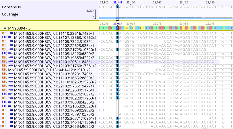 A zoomed in picture of site 23063 in the nucleotide sequence, where the reference sequence has an A and the sequencing reads show that this infection has a T at this site. The A23063T mutation in the nucleotide sequence corresponds to an N501Y substitution in Spike protein, which is one of multiple lineage defining mutations for B.1.1.7. At this site there are 390 distinct, high quality sequencing reads that support this call. Furthermore, both forward and reverse reads detect this nucleotide, further demonstrating that this call is real.