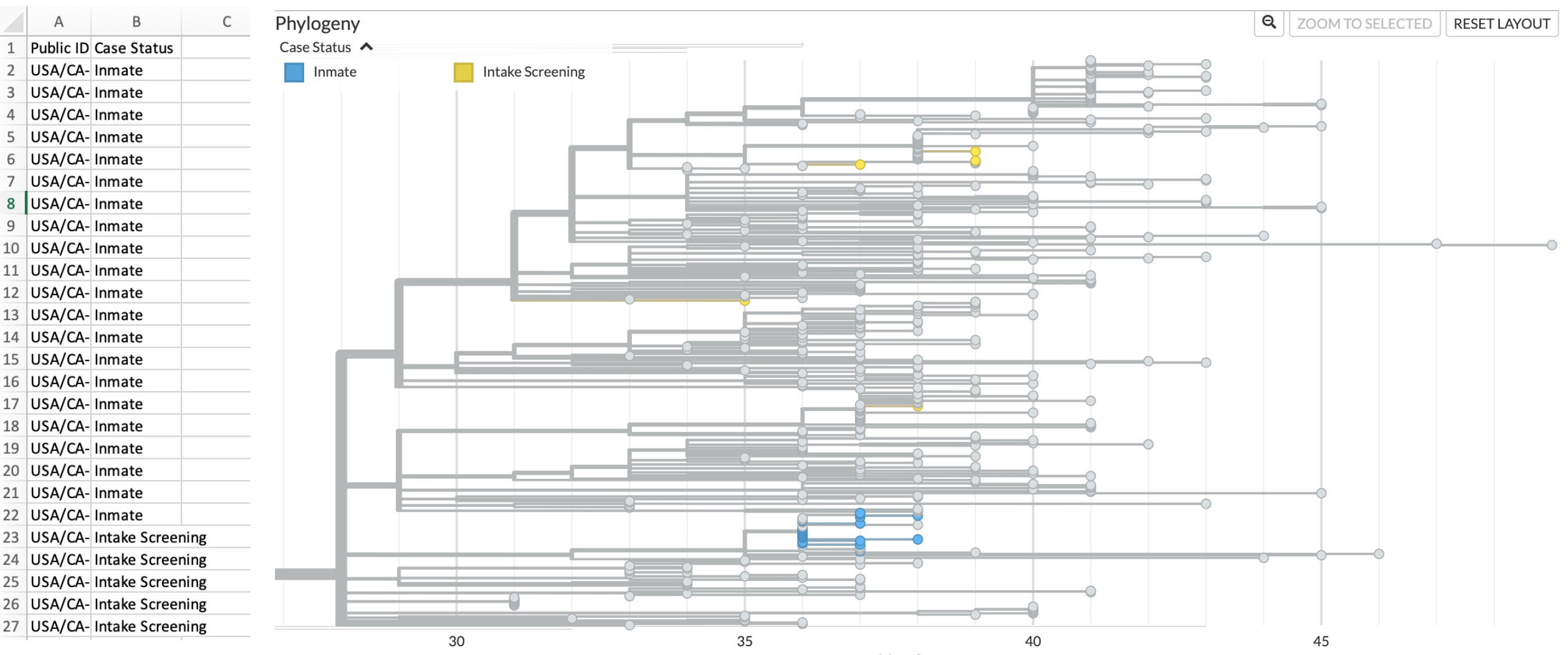 Metadata overlay onto Nextstrain phylogenetic tree differentiates sequences from incarcerated individuals (inmates) and from intake screening. On the left hand side of this figure is a screenshot of the metadata file formatted such that it can be dragged and dropped onto the tree. On the right, we see the same cluster as shown in Figure 6.5, but now jail sequences are coloured according to whether they were sampled from incarcerated individuals residing in pods (blue) or from individuals undergoing intake screening (yellow). Contextual sequences remain coloured in grey.